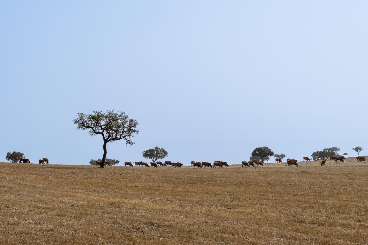 Change The World - Herdade Monte Do Peral Montes Juntos Экстерьер фото
