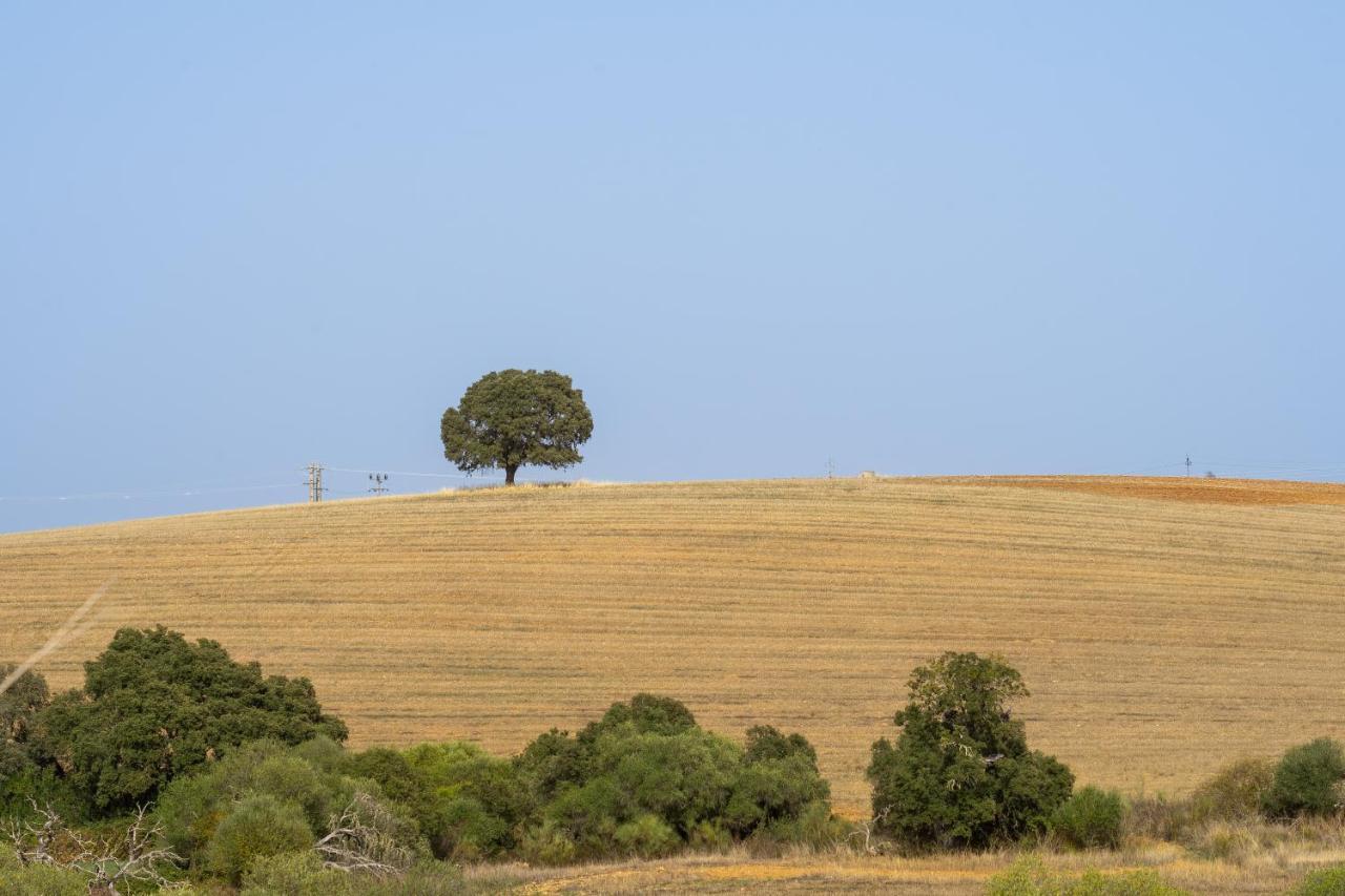 Change The World - Herdade Monte Do Peral Montes Juntos Экстерьер фото