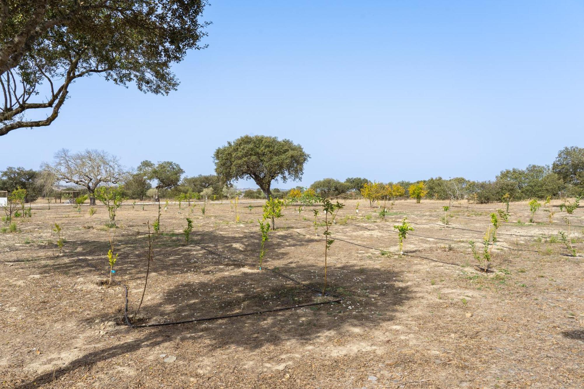 Change The World - Herdade Monte Do Peral Montes Juntos Экстерьер фото